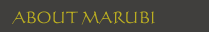 About Marubi